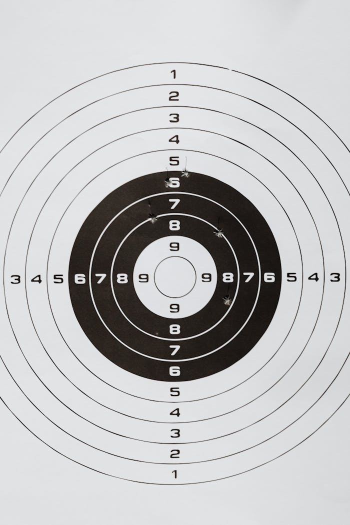 Detailed image of a shooting range paper target showing multiple rings and numbers.
